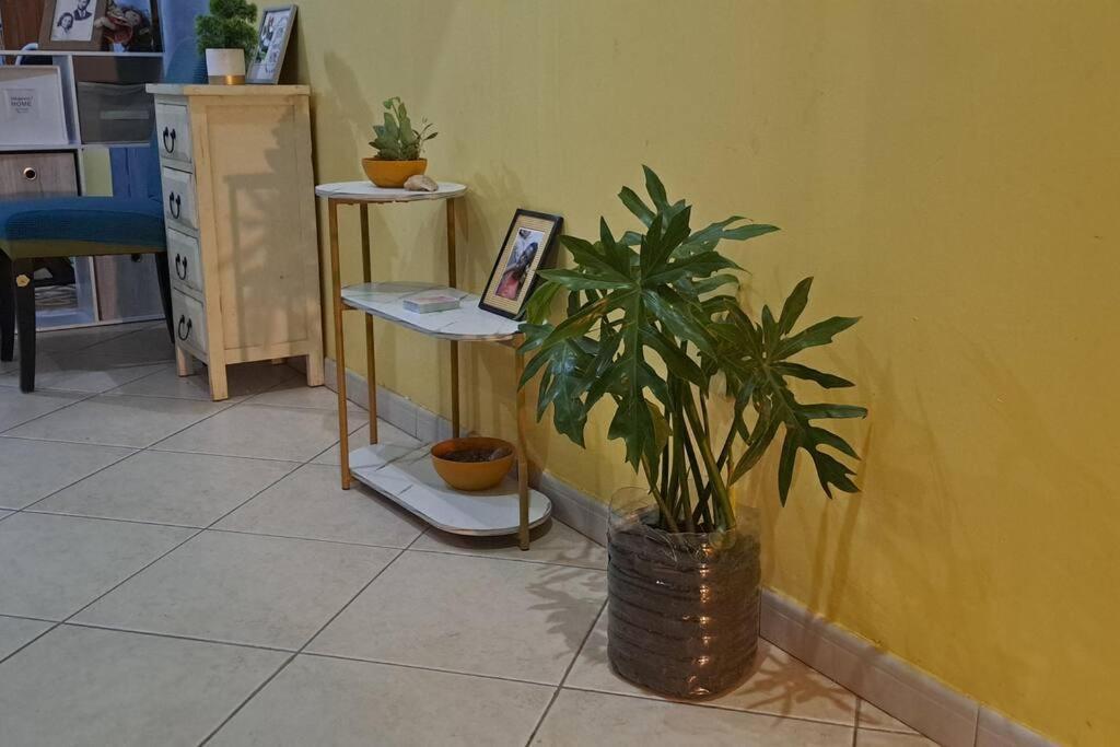 Mendes Family Homestay - B&B In The Heart Of Praia Esterno foto