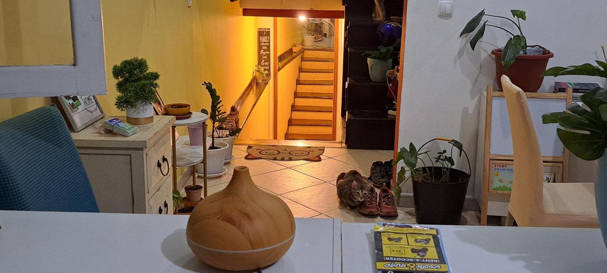 Mendes Family Homestay - B&B In The Heart Of Praia Esterno foto